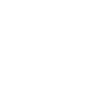 www.cavalosnaareia.com